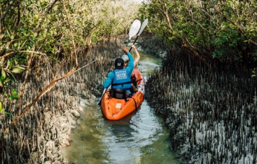 Kayaking