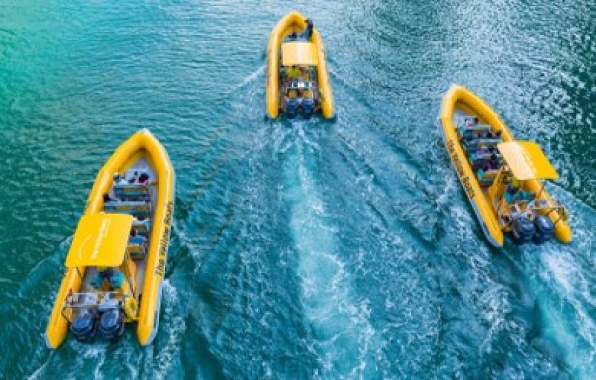 Speed Boat Tour