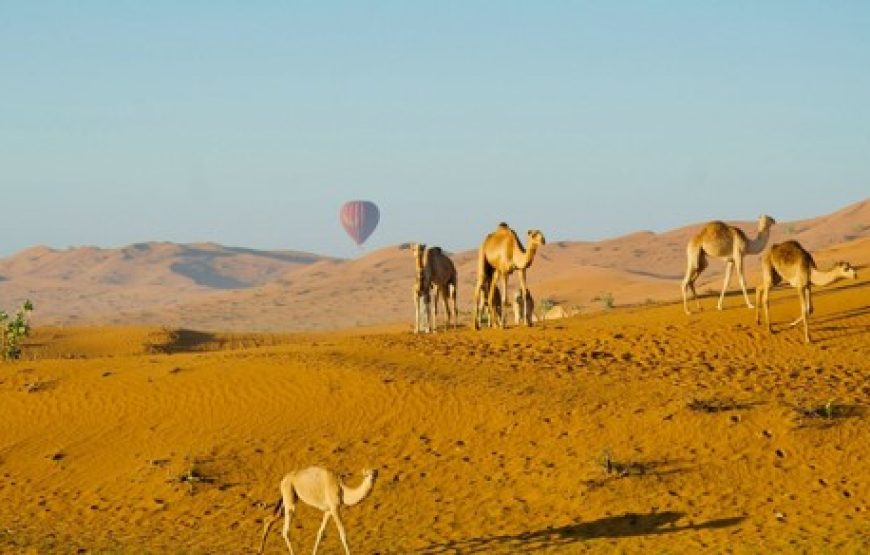 Hot Air Balloon